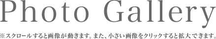 Photo Gallery ※スクロールすると画像が動きます。また、小さい画像をクリックすると拡大できます。